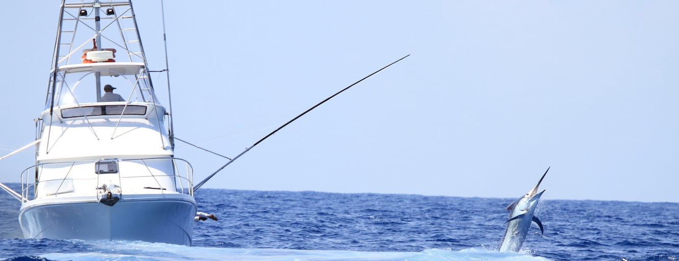 Deep Sea Custom Fishing Rods for Sale - RI