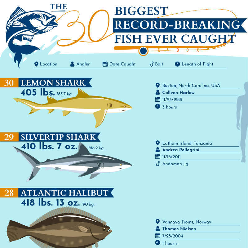 world record fish