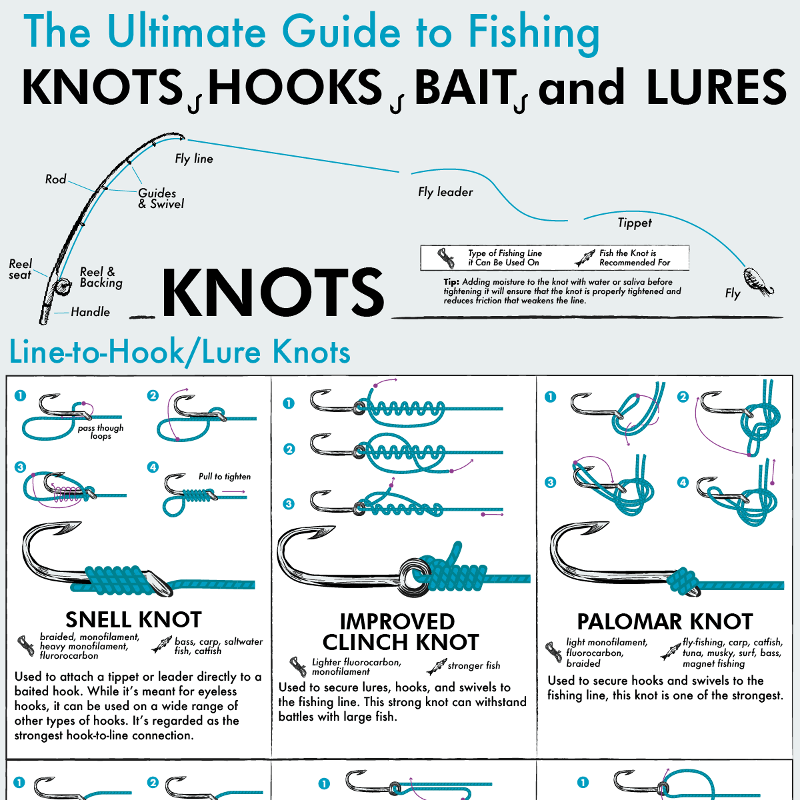 Fishing Lures Types Chart