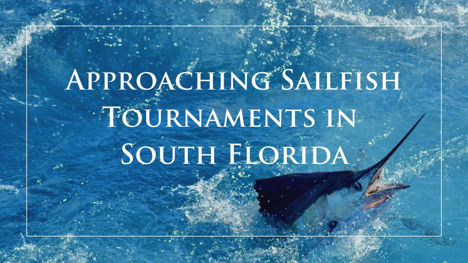 Approaching Sailfish Tournaments in South Florida HMY Yachts
