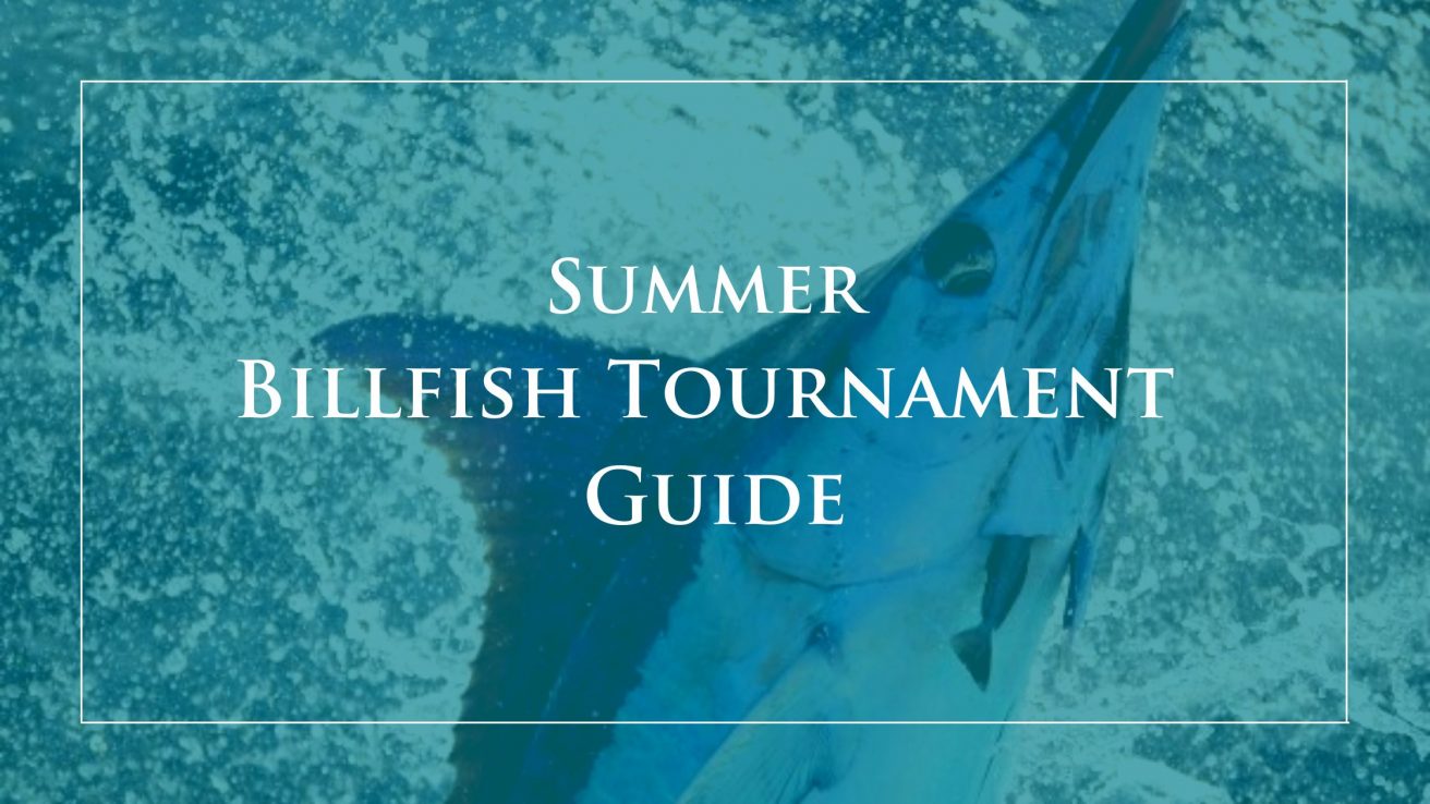 HMY's Summer Billfish Tournament Guide HMY Yachts