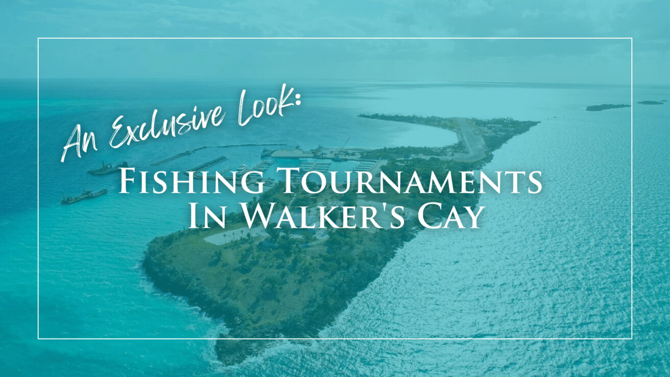 An Exclusive Look into the Walker's Cay Fishing Tournaments HMY Yachts